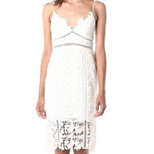 Bardot lace dress size 4